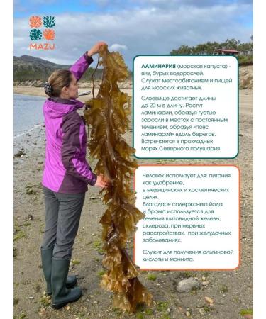 MAZU Sea cabbage of Laminaria Tires 100 g - Buy Online on GoSupps.com