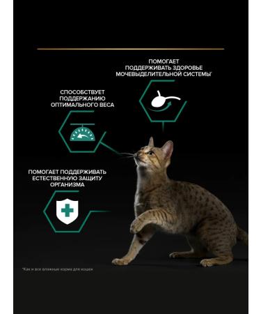 PRO PLAN Wet food for sterilized cats with fish 85 g x 52 pcs - Buy Online on GoSupps.com