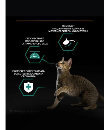 PRO PLAN Wet food for sterilized cats beef 85g x 52pcs - Buy Online on GoSupps.com