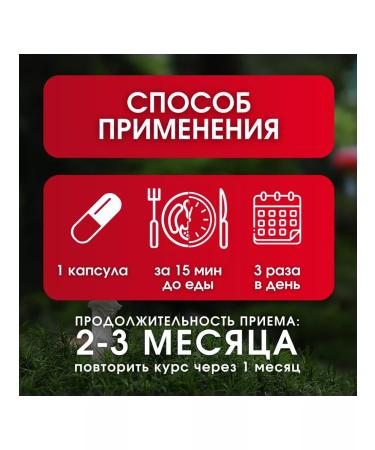 Mushroom Warrior Yellow fox 60 capsules antiparasitic complex - Buy Online on GoSupps.com