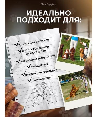 Pat Buffet Treats for dogs of beef trachea 1 kg - Buy Online on GoSupps.com