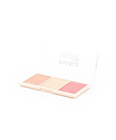 Ninelle Facial Highlighter Ninel La Luz Y La Sombra No. 505 12g - Buy Online on GoSupps.com