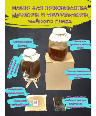 Kombucha Factory Set for the production and storage of tea fungus