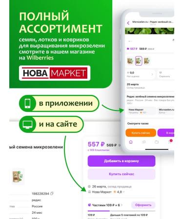 Ilyinsky sprouts Clover Red Seeds for Microsenerena 1 kg - Buy Online on GoSupps.com