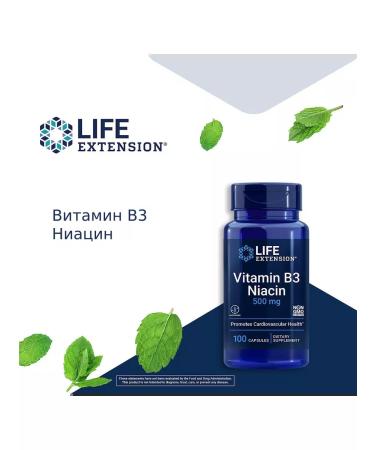 Life extension Vitamin B3 niacin 500 mg 100 caps - Buy Online on GoSupps.com