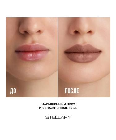 Stellary Lipstick for lips shade 17 Supernatural 3.8 g - Buy Online on GoSupps.com