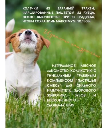 Raw Power Pet Dog treating "Mini Kruglyashi" 300g - Buy Online on GoSupps.com