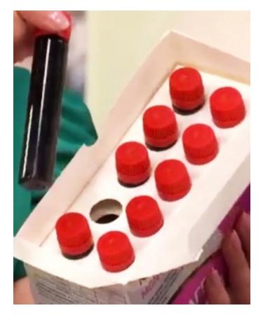 Naturotherapy Vitamins for strengthening nails hair bones 20 Flak - Buy Online on GoSupps.com