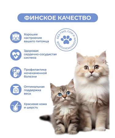 Jarvi elaman Wet food for sterilized cats beef 85g x 36pcs - Buy Online on GoSupps.com