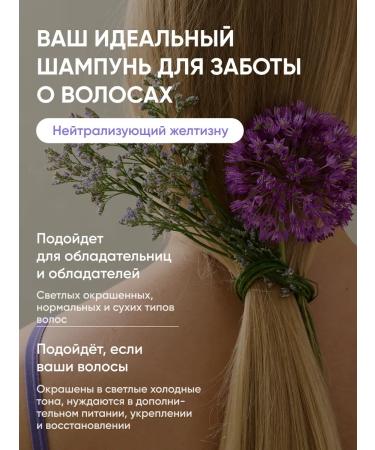 BeSage Hard shampoo for blond hair road format - Buy Online on GoSupps.com