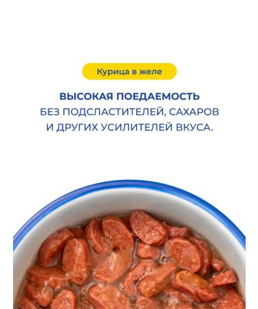 Jarvi elaman Wet food for domestic cats chicken 85 g x 48 pcs - Buy Online on GoSupps.com