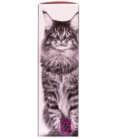 FeelGood Malt paste for the output of cats of cats and ferrets 40 ml - Buy Online on GoSupps.com