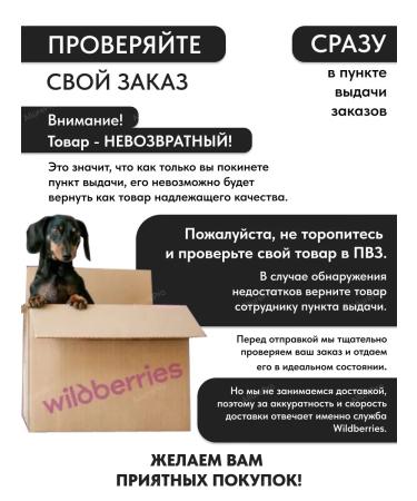 Bronsun Eyebrow paint and eyelashes - Buy Online on GoSupps.com