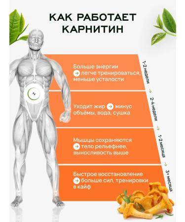 Lifevit L carnitine fat burner Sports 90 capsules - Buy Online on GoSupps.com