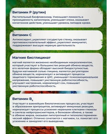 OCTOHERB PHARMA LLC Octolife B6 dietary supplement to improve the functions of the brain 120 pcs - Buy Online on GoSupps.com