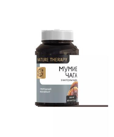 Dr Arsenin Mummy chaga 60 capsules