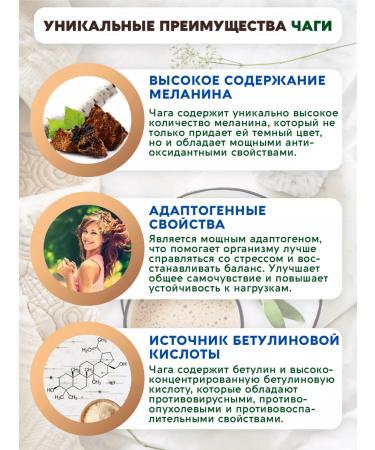 Vasteko Non -nof with chaga and coconut milk soluble without sugar - Buy Online on GoSupps.com