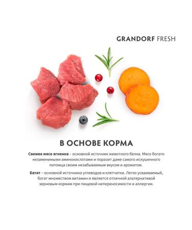 Grandorf Cat food dry Fresh lamb battles 2 kg - Buy Online on GoSupps.com