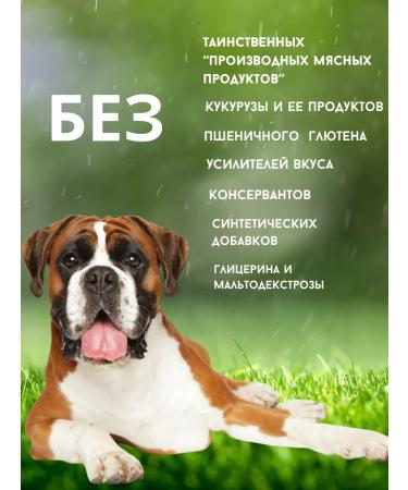 Raw Power Pet Holistic Kholistik "Kruglyashi" 200g - Buy Online on GoSupps.com