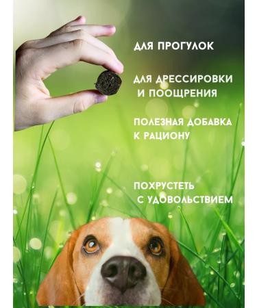 Raw Power Pet Holistic Kholistik "Kruglyashi" 200g - Buy Online on GoSupps.com