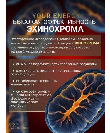 Best Brands Your Energy (echinochrome a) 100 ml. with proven echinochrome a - Buy Online on GoSupps.com