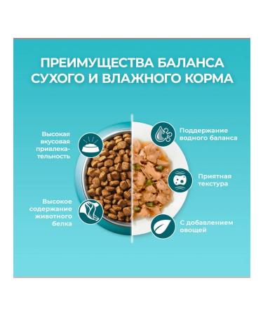 PURINA ONE Dry food for sterilized domestic cats chicken 3kg 4pcs - Buy Online on GoSupps.com