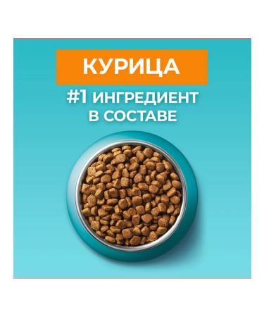 PURINA ONE Dry food for sterilized domestic cats chicken 3kg 4pcs - Buy Online on GoSupps.com