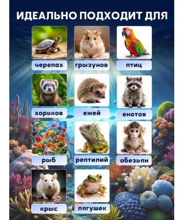 The cunning rat Dried fish andchous 60. Gr - Buy Online on GoSupps.com