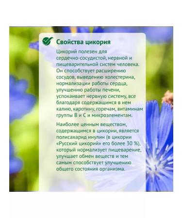 RUSSIAN CHICORY 100g. 3pcs - Buy Online on GoSupps.com