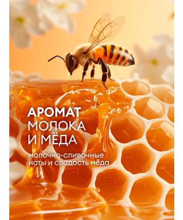 GRASS Set of hand Liquid hand soap Milana 6 x 500 ml - Buy Online on GoSupps.com