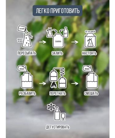 Alchemy of taste Tincture for moonshine Gene Russian 2 pcs - Buy Online on GoSupps.com