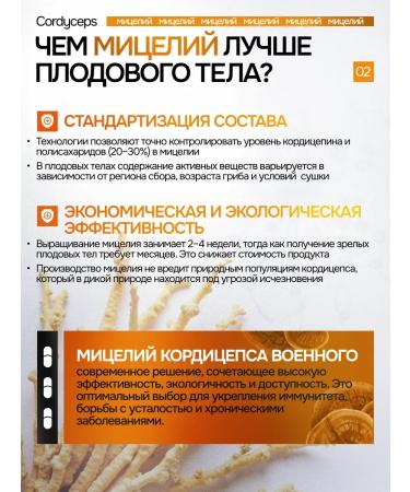 NSOrganic Cordyceps military capsule 120 pieces - Buy Online on GoSupps.com