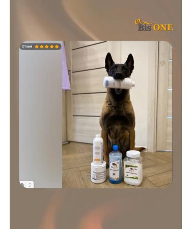 Bis ONE A set of shampoos for dogs and cats Gold 1+1 (M) - Buy Online on GoSupps.com