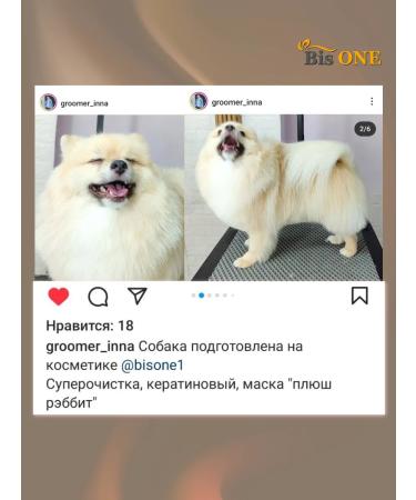 Bis ONE A set of shampoos for dogs and cats Gold 1+1 (M) - Buy Online on GoSupps.com