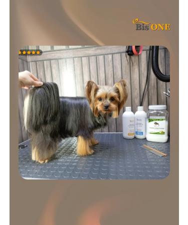 Bis ONE A set of shampoos for dogs and cats Gold 1+1 (M) - Buy Online on GoSupps.com