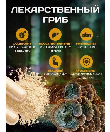 funherb Trametes fruit body and mycelium 120 capsules of 500 mg - Buy Online on GoSupps.com