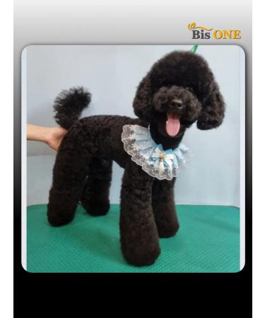 Bis ONE Set of shampoos for dogs and cats Gold 1+1 (L) - Buy Online on GoSupps.com