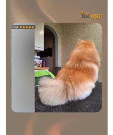 Bis ONE Set of shampoos for dogs and cats Gold 1+1 (L) - Buy Online on GoSupps.com