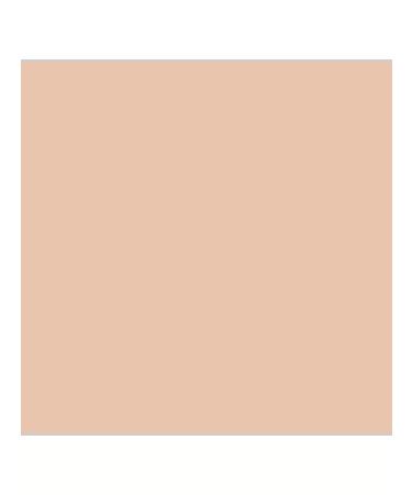 DEBORAH Milano Facial powder tone 2 light pink waterproof matting - Buy Online on GoSupps.com