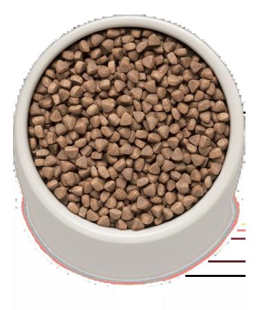 Grandorf Feed for cats with sensitive leather white fish turkey 2 kg - Buy Online on GoSupps.com