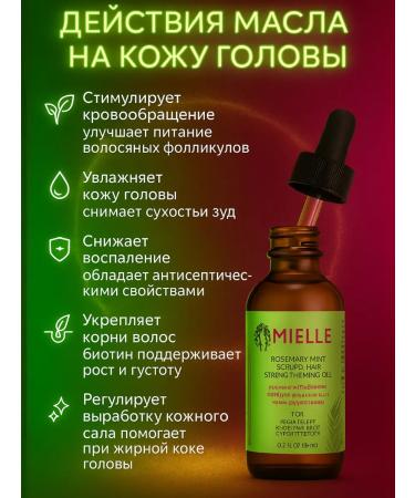 Mielle Rosemary hair for hair strengthening with biotin 59ml - Buy Online on GoSupps.com