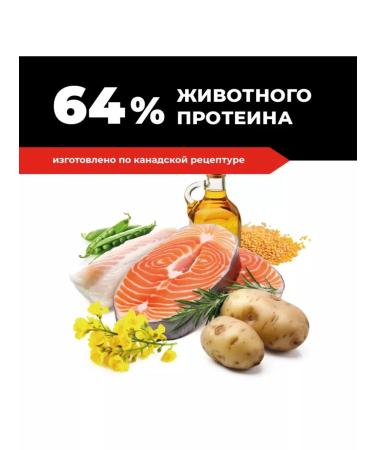 GO'KITCHEN Dry Bezern Bezern Sensitive food for dogs with salmon 5.44 kg - Buy Online on GoSupps.com