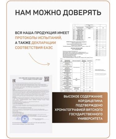 Kipensky Mushroom Cordyceps military grain mycelium powder 100g - Buy Online on GoSupps.com