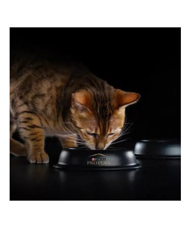 PRO PLAN Feed for digestion of sterilized cats chicken 3 kg 2 pcs - Buy Online on GoSupps.com