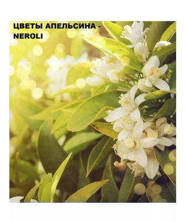 Collistar Cream with neroli+Elicriso 200 ml essential oils - Buy Online on GoSupps.com