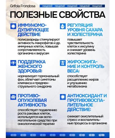 NSOrganic Meitaka (Mitaka) Grifol Kurchavaya 180 capsules - Buy Online on GoSupps.com