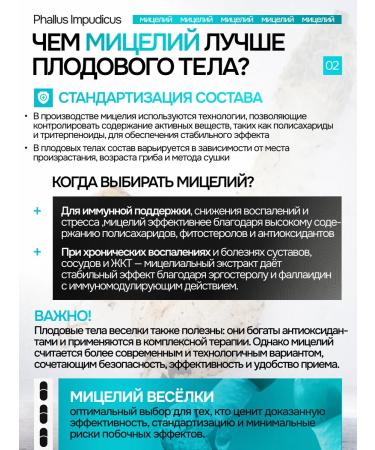 NSOrganic Joker ordinary capsules 180 pieces of 600 mg - Buy Online on GoSupps.com