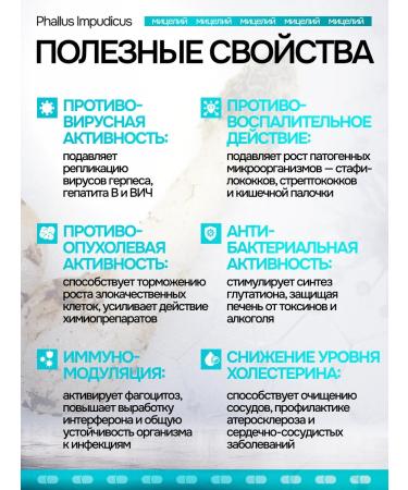 NSOrganic Joker ordinary capsules 90 pieces of 600 mg - Buy Online on GoSupps.com