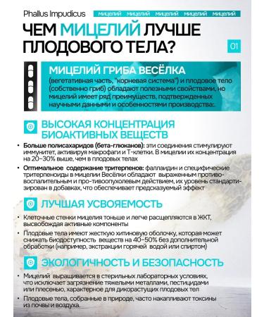 NSOrganic Joker ordinary capsules 90 pieces of 600 mg - Buy Online on GoSupps.com