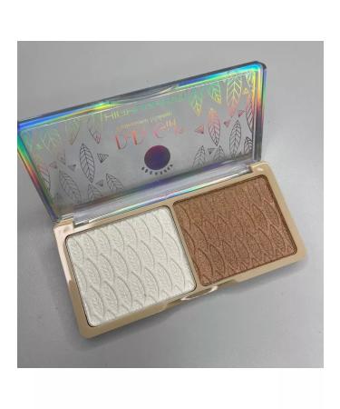 Professional style A set of Highlaiters for the face Dodo Girl tone 03